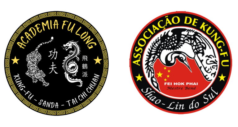 Main image of Academia de Kung Fu Shaolin do Sul