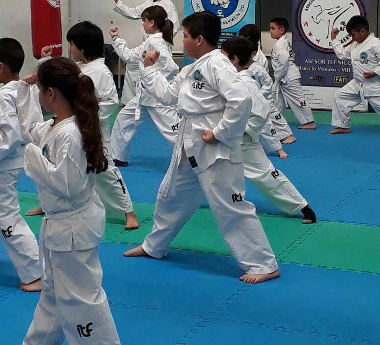 Main image of Academia de Taekwondo Castro