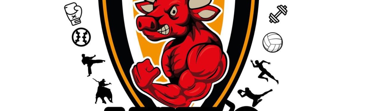 Main image of Academia Deportiva Mike's