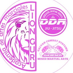 Main image of ACADEMIA LION GURÚ