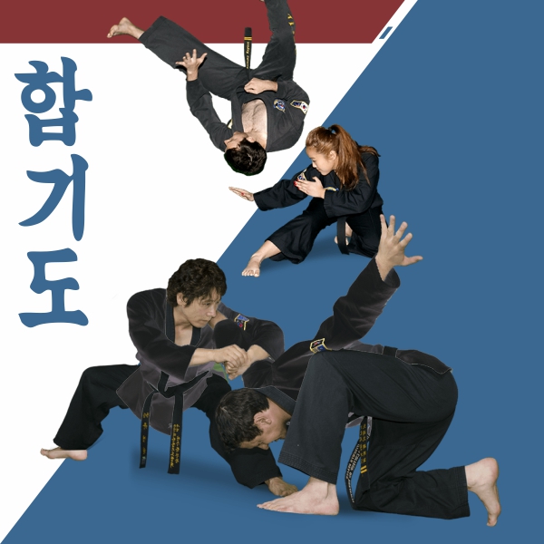 Main image of Academia Sadja Kwan