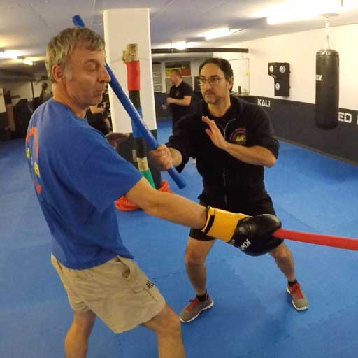 Main image of Academy of Martial Arts Martinez