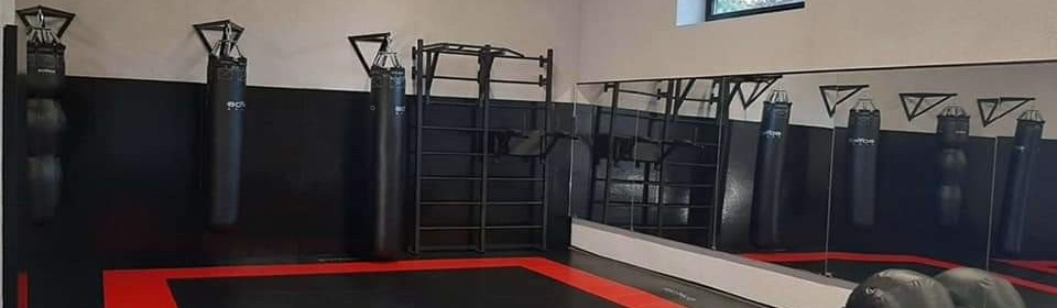 Main image of Academy of Sport Education