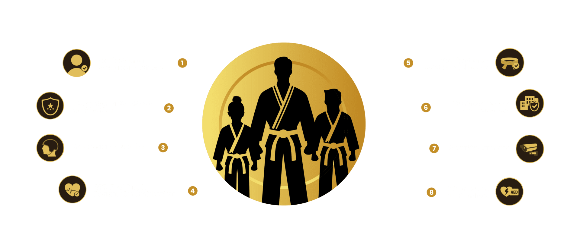 Main image of Academy Safe