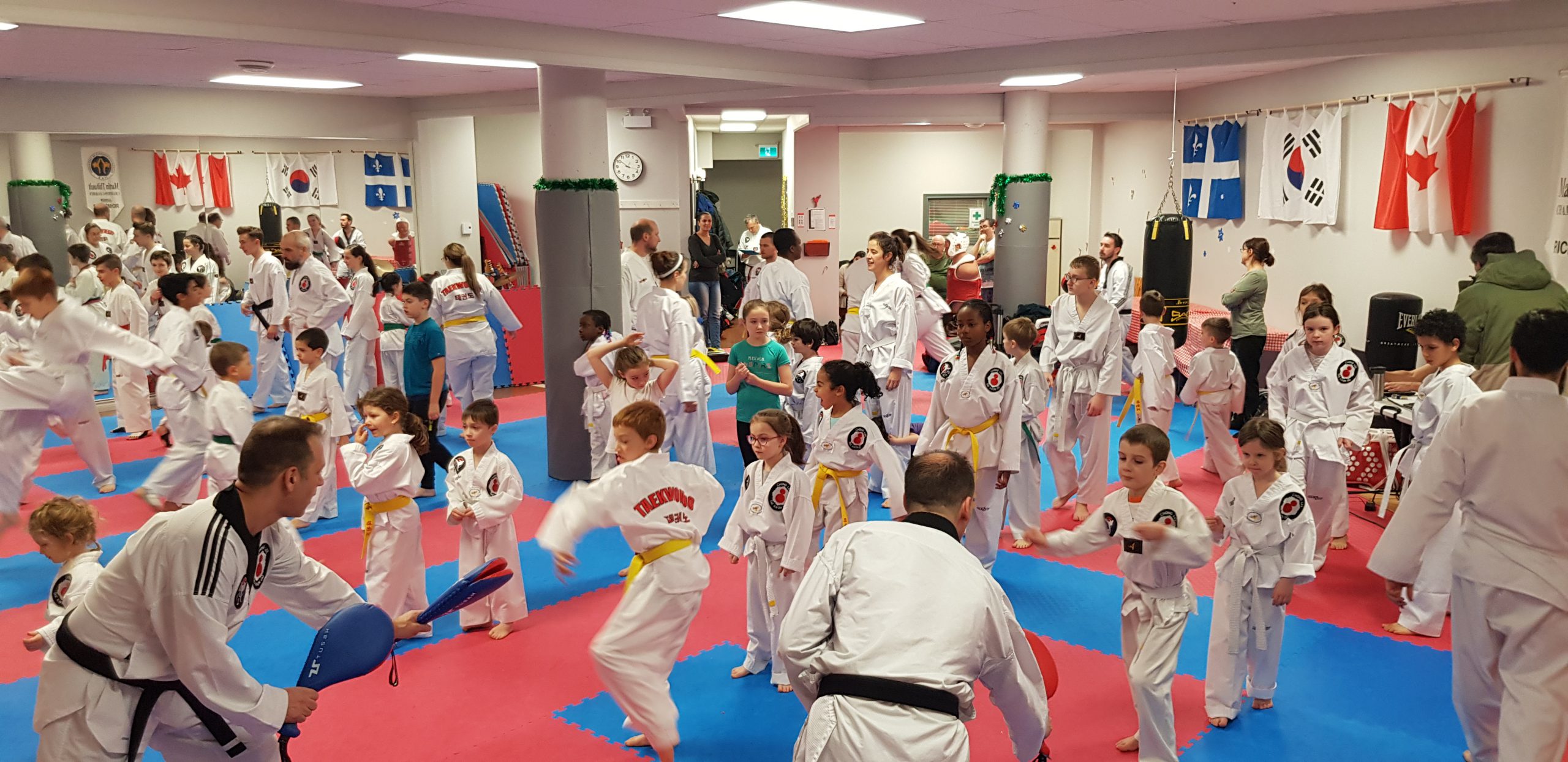 Main image of Academy Taekwondo De Québec
