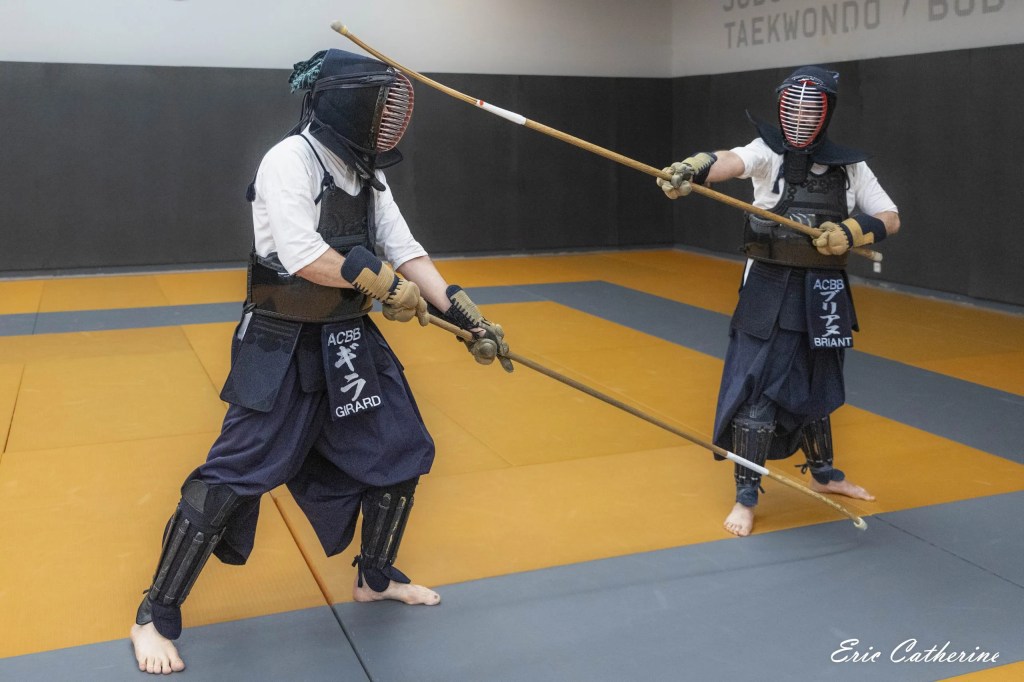 Main image of Acbb Naginata