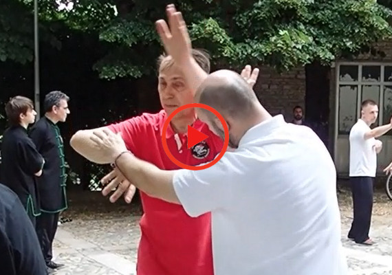Main image of Accademia Kungfu Taijiquan Bologna