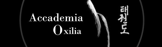 Main image of Accademia Oxilia (Polisportiva Putinati Ferrara
