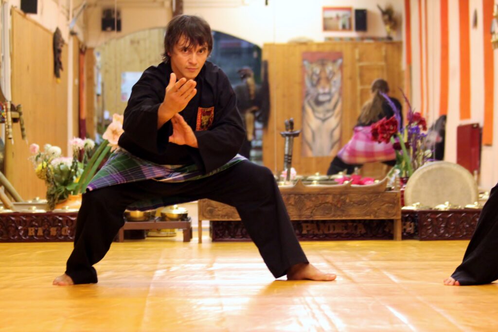 Main image of Accademia Silat Italia