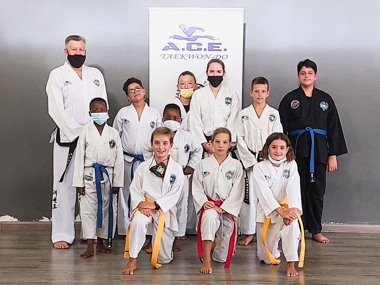 Main image of ACE Taekwon-Do Centre - Plettenberg Bay