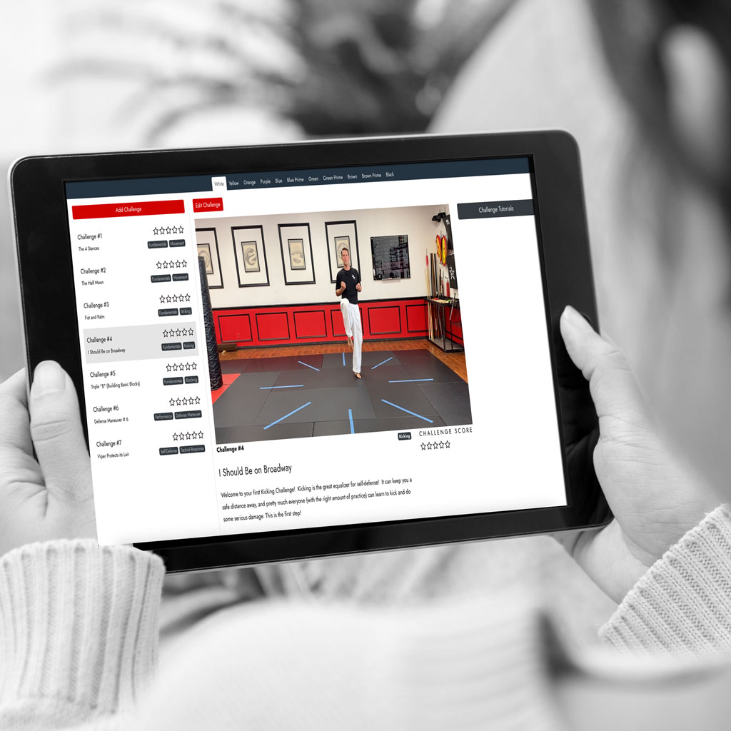 Main image of Achieve Martial Arts