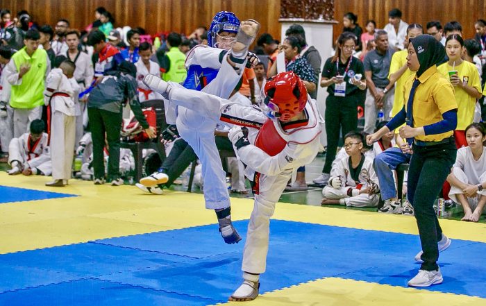 Main image of Acme Taekwondo