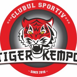 Main image of ACS Tiger Kempo