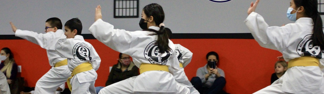 Main image of Adamson Karate Columbus