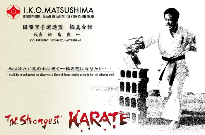 Main image of Adelaide Kyokushin Karate Club