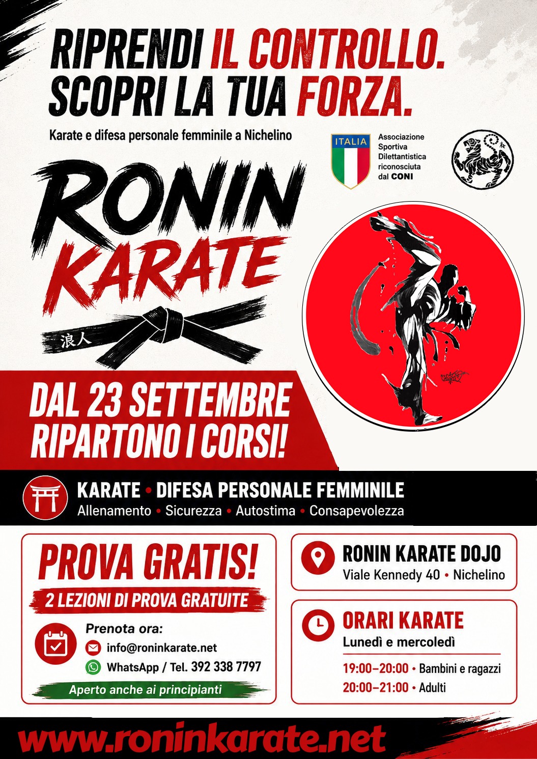 Main image of Adp Ronin Karate
