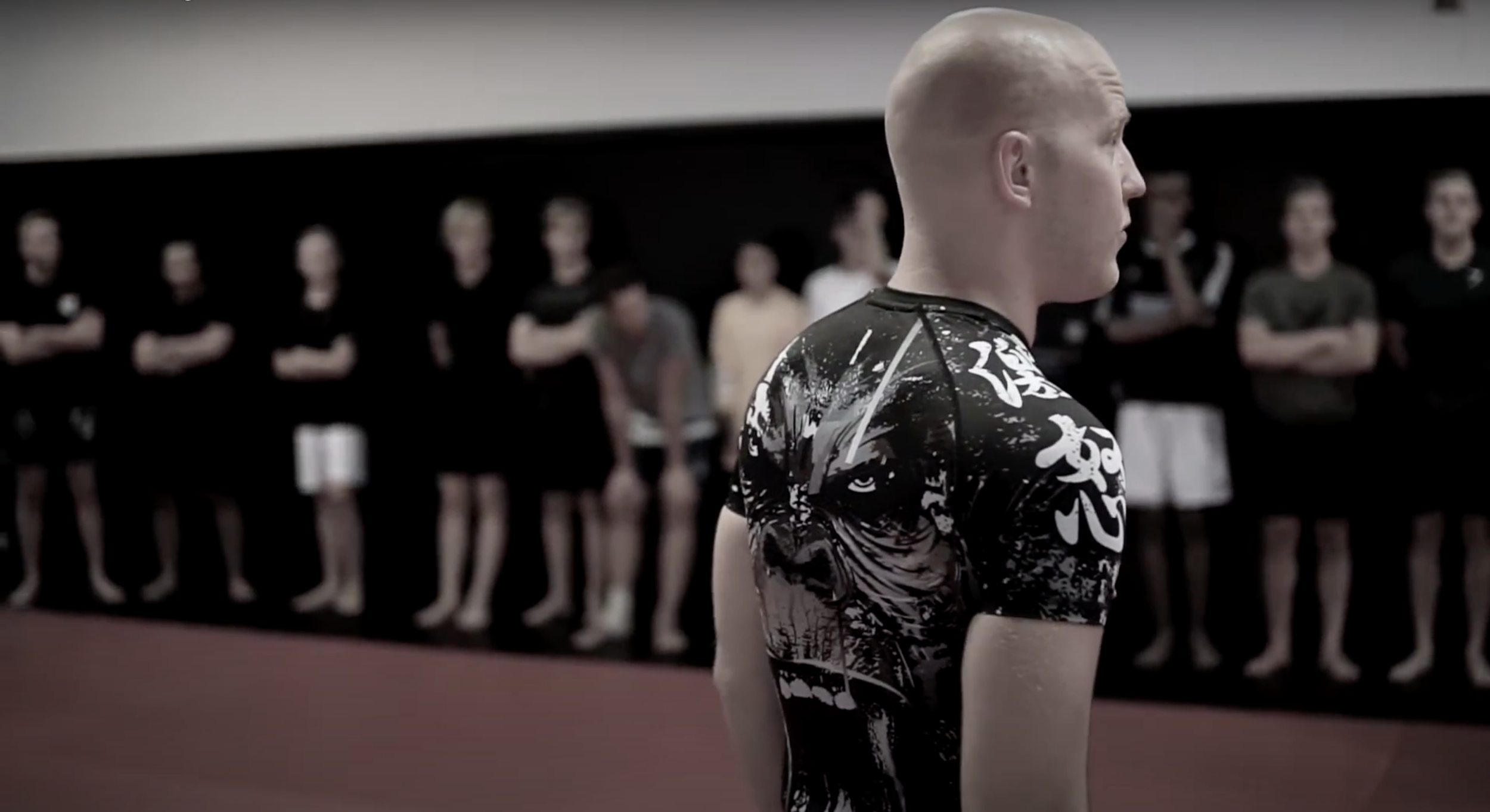 Main image of Adrenaline Fighters MMA