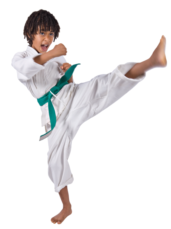 Main image of Adrenaline Martial Arts Academy