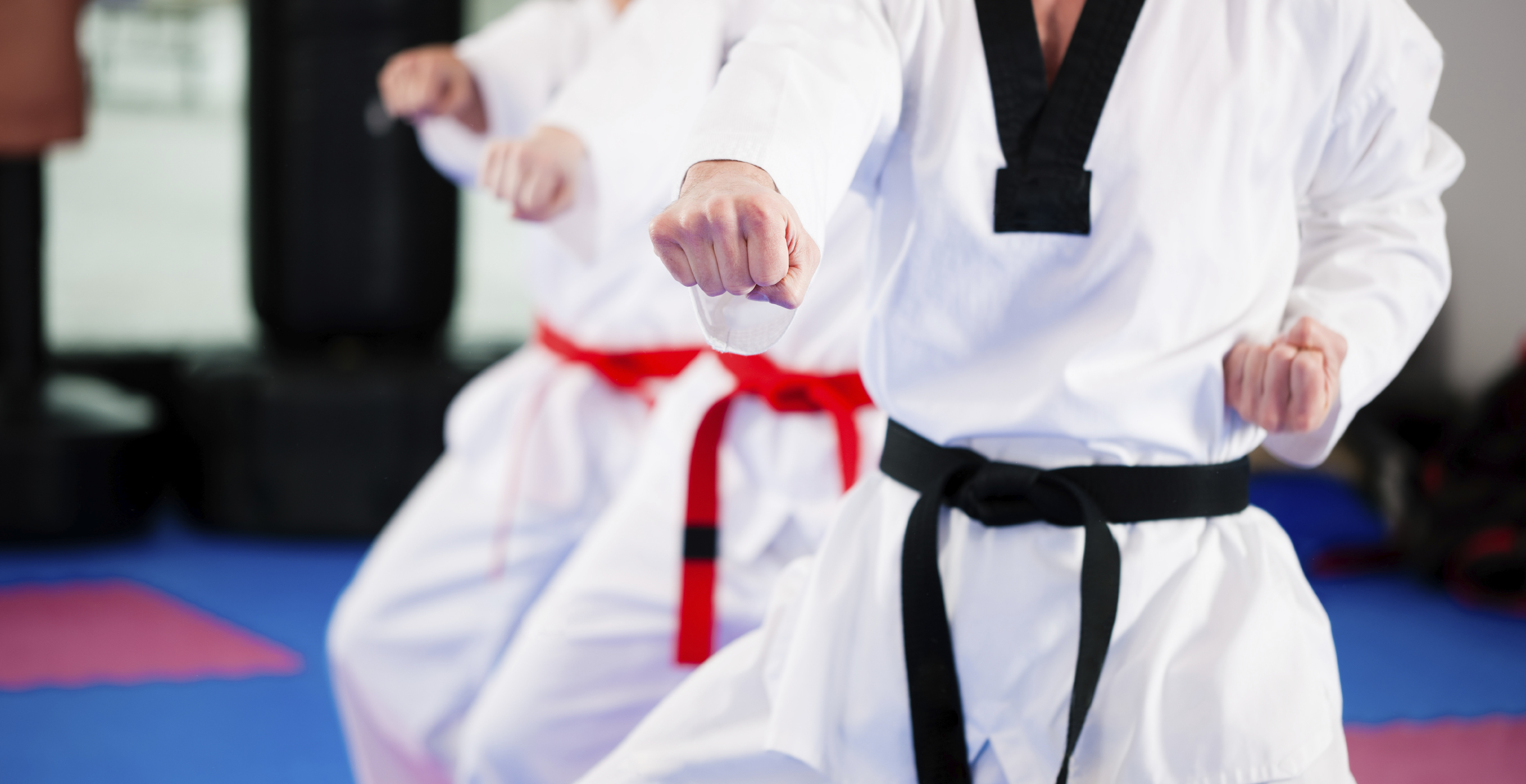 Main image of Aghalee Taekwondo Club