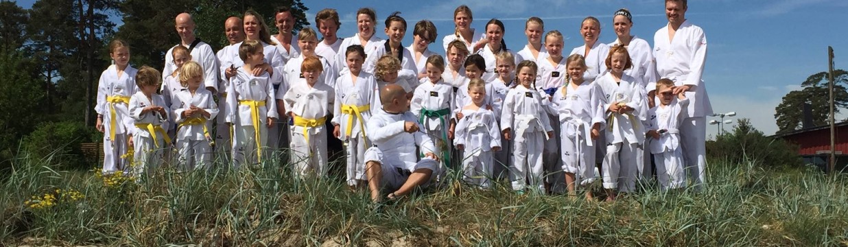 Main image of Åhus Taekwondo Hwarang