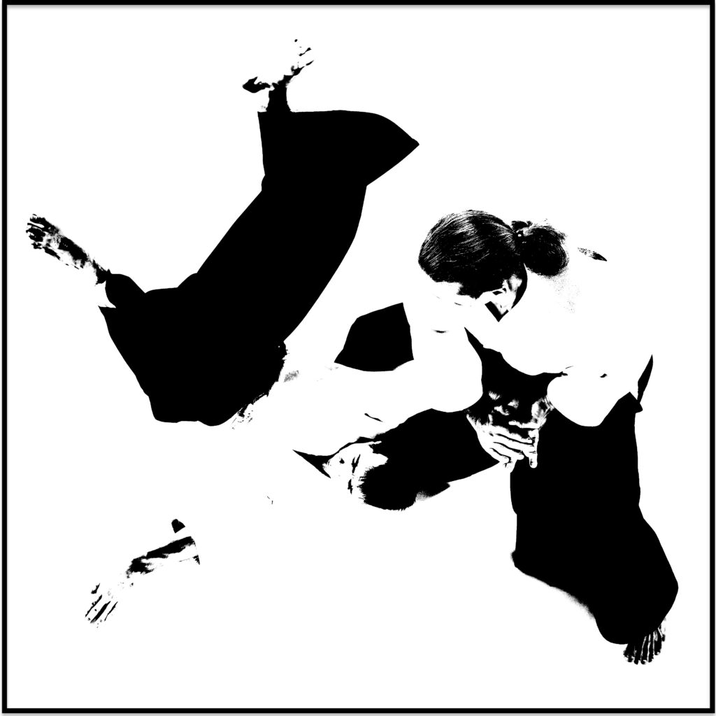 Main image of Aiki-Budo Centrum Breda