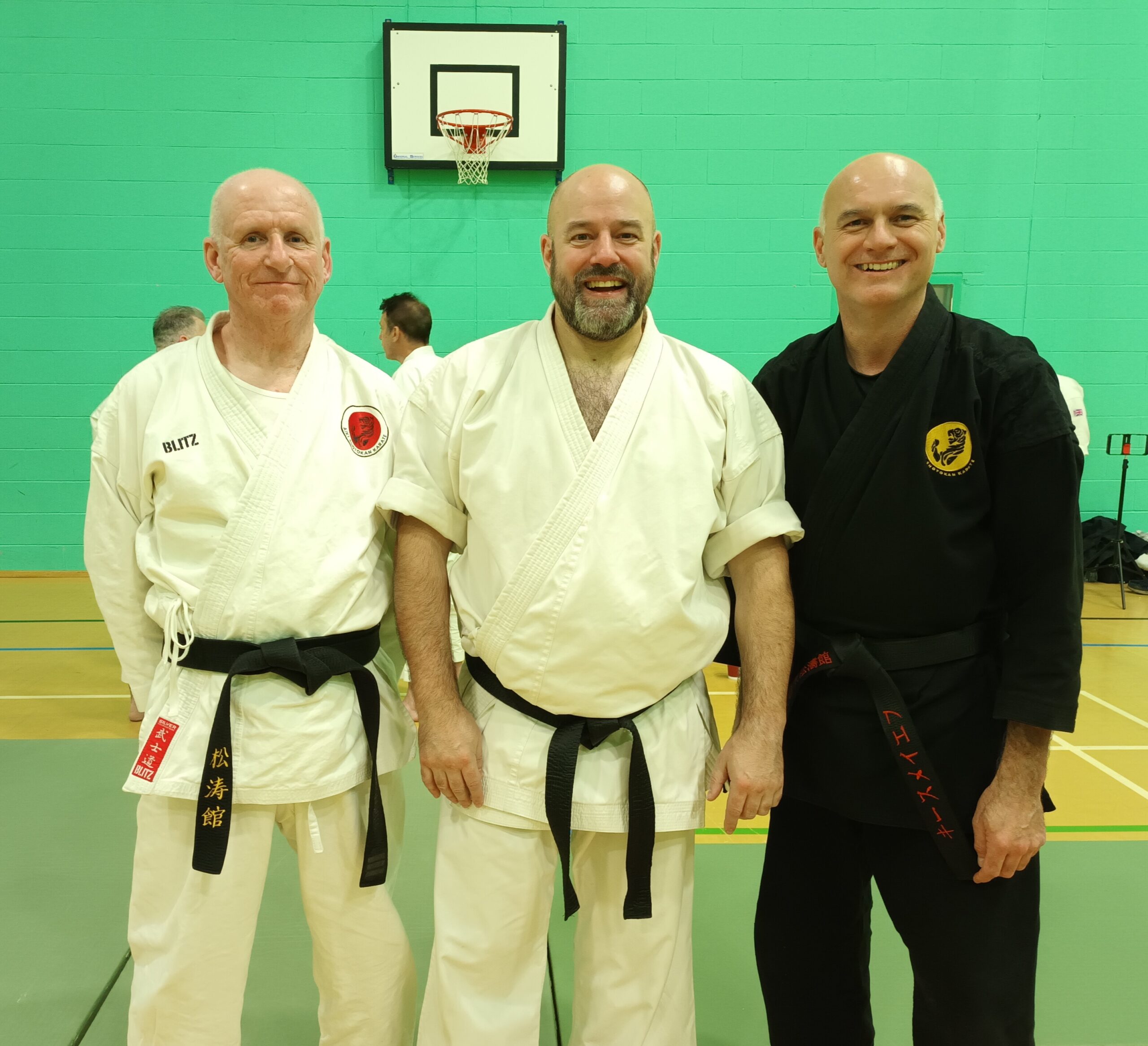 Main image of Aiki Shotokan Virtual Dojo