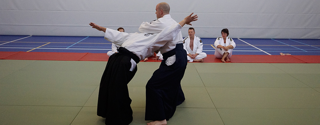Main image of Aikibudo Nieuwerkerk