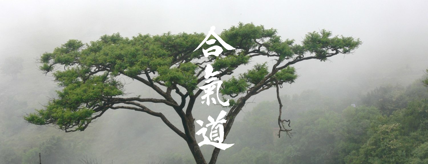 Main image of Aikido Acacia Dojo