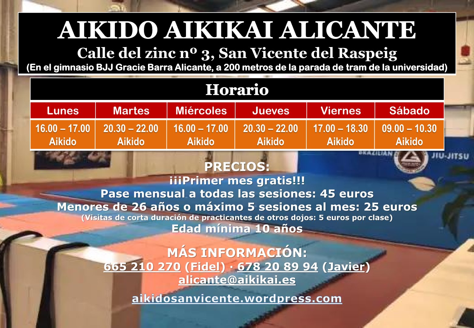 Main image of Aikido Aikikai Alicante, en San Vicente del Raspeig