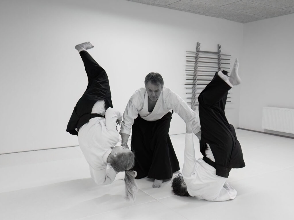 Main image of Aikido Aikikai Odense
