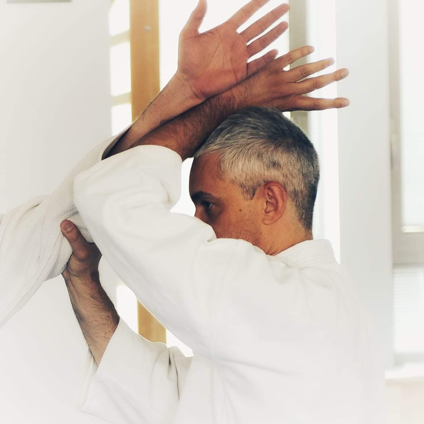 Main image of Aikido Alpignano