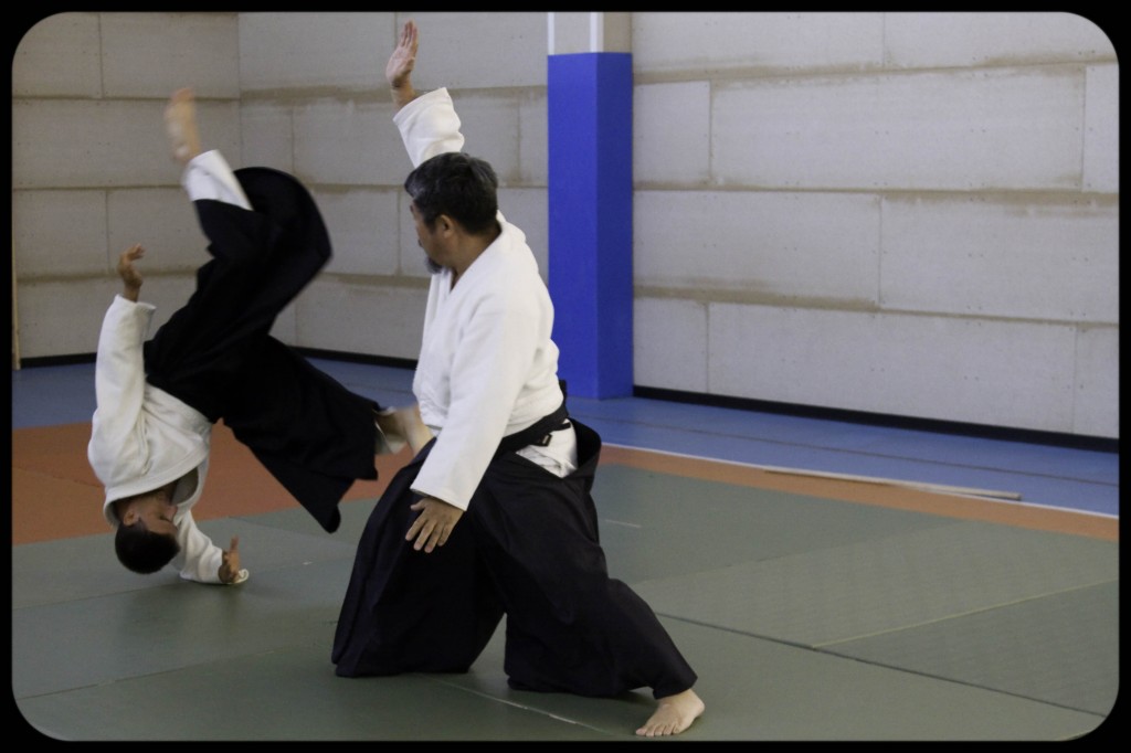 Main image of Aikido Altavilla