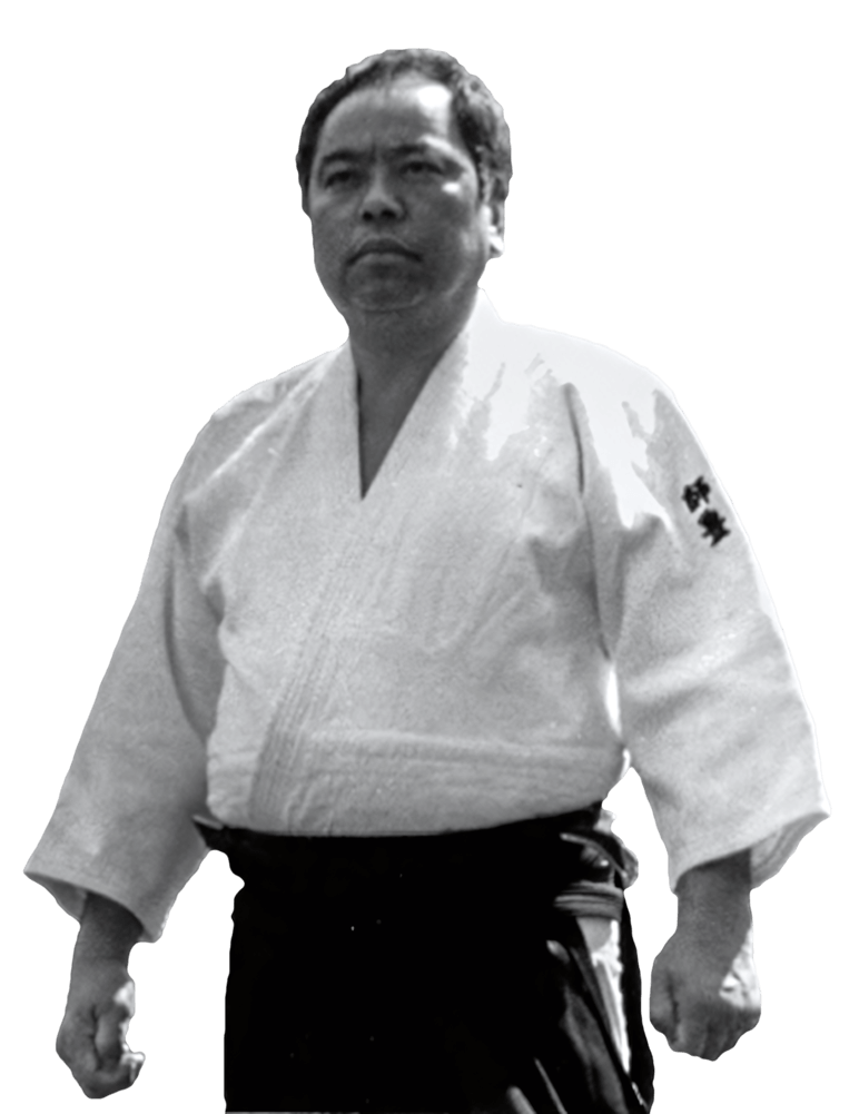 Main image of Aikido Association of America