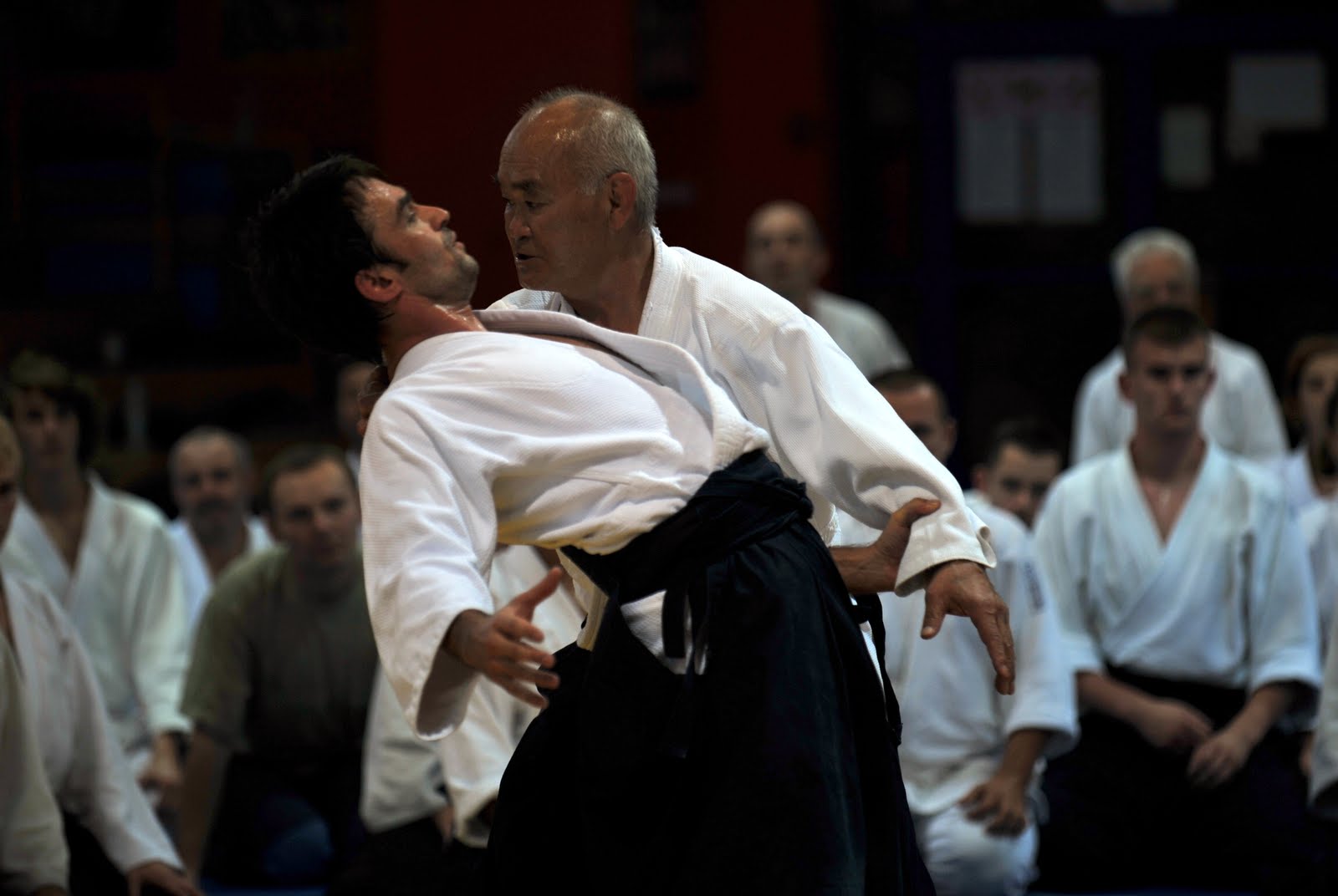 Main image of Aikido Birankai Zürich