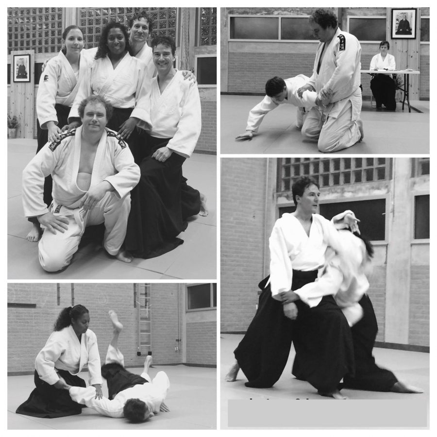 Main image of Aikido Centrum Zoetermeer