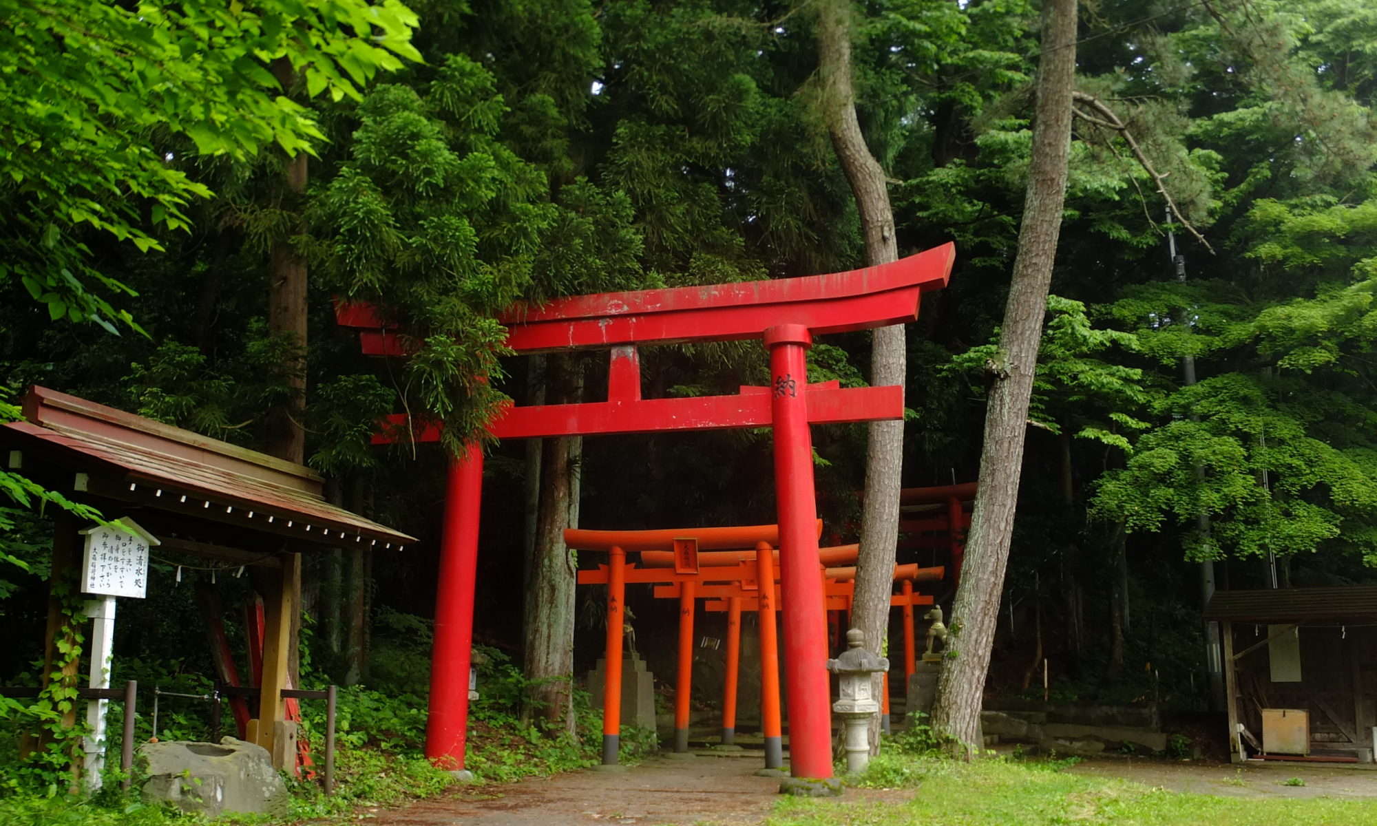 Main image of Aikido Club
