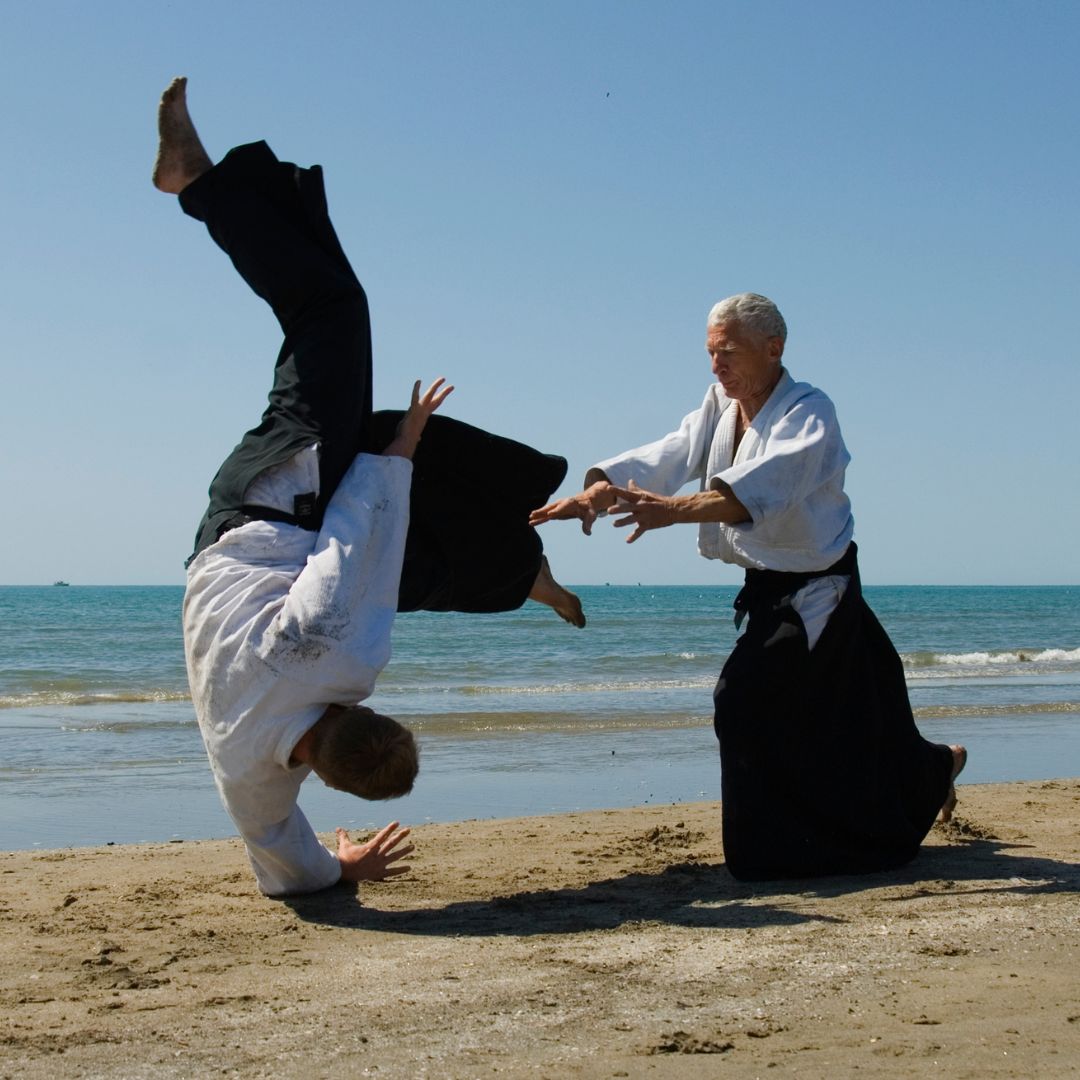 Main image of Aikido Cranves-Sales