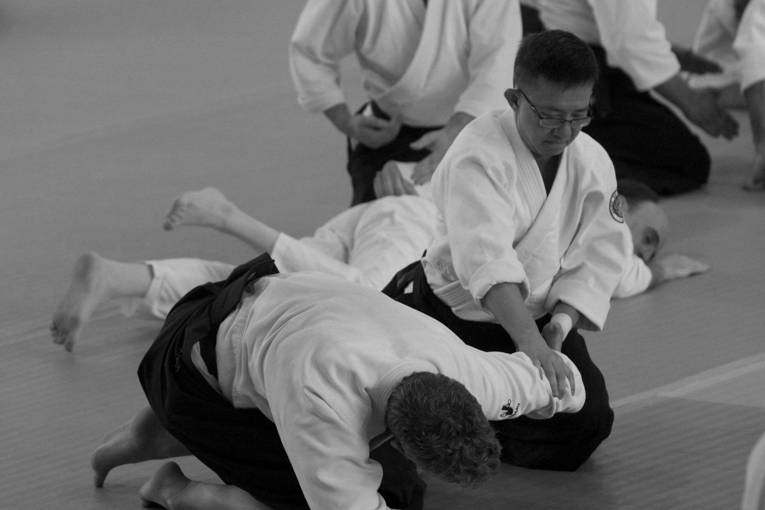 Main image of Aikido Dai Etsu Dojo