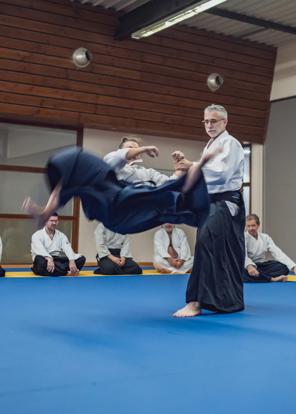 Main image of Aikido Dardilly