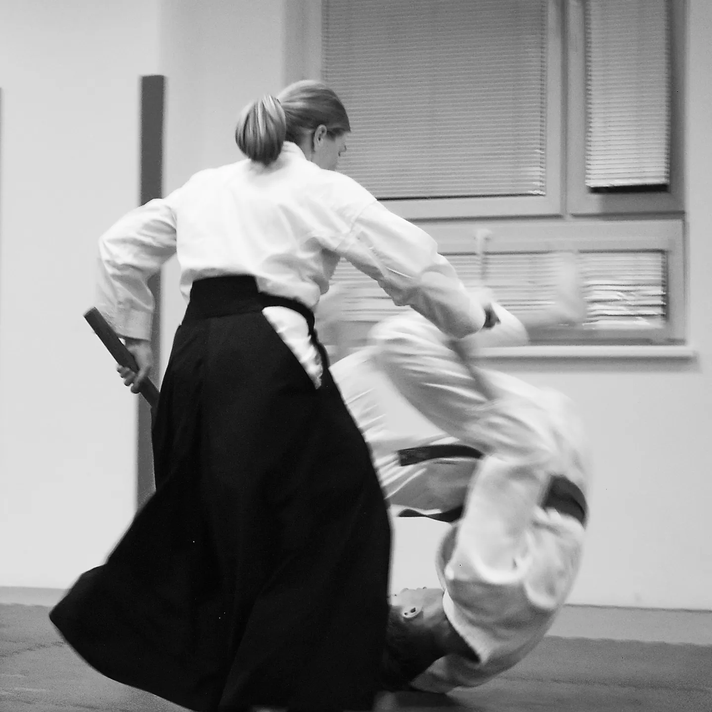 Main image of Aikido Dojo Opava