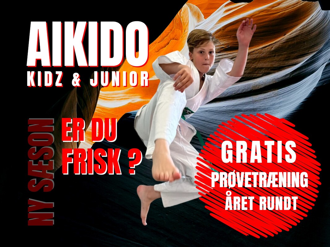 Main image of Aikido Dojo Svendborg
