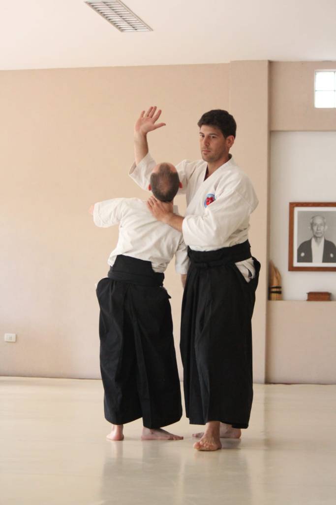 Main image of Aikido el arte de la paz