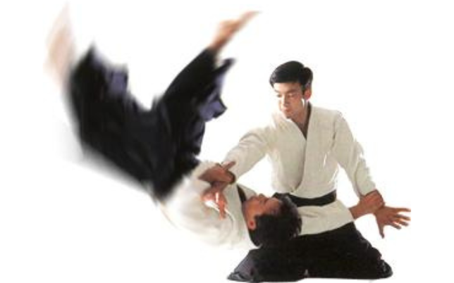 Main image of Aikido Federation of São Paulo
