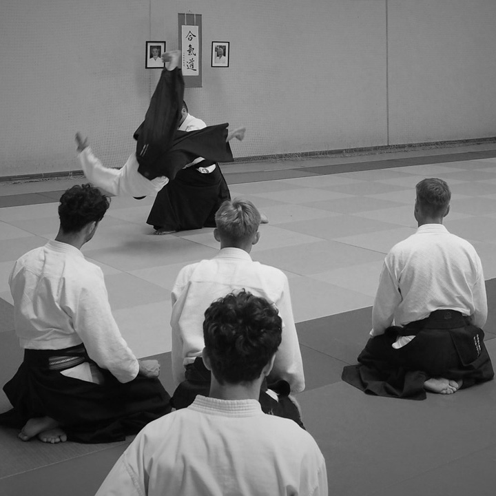 Main image of Aikido Foundation - Gembal Shihan 8 dan