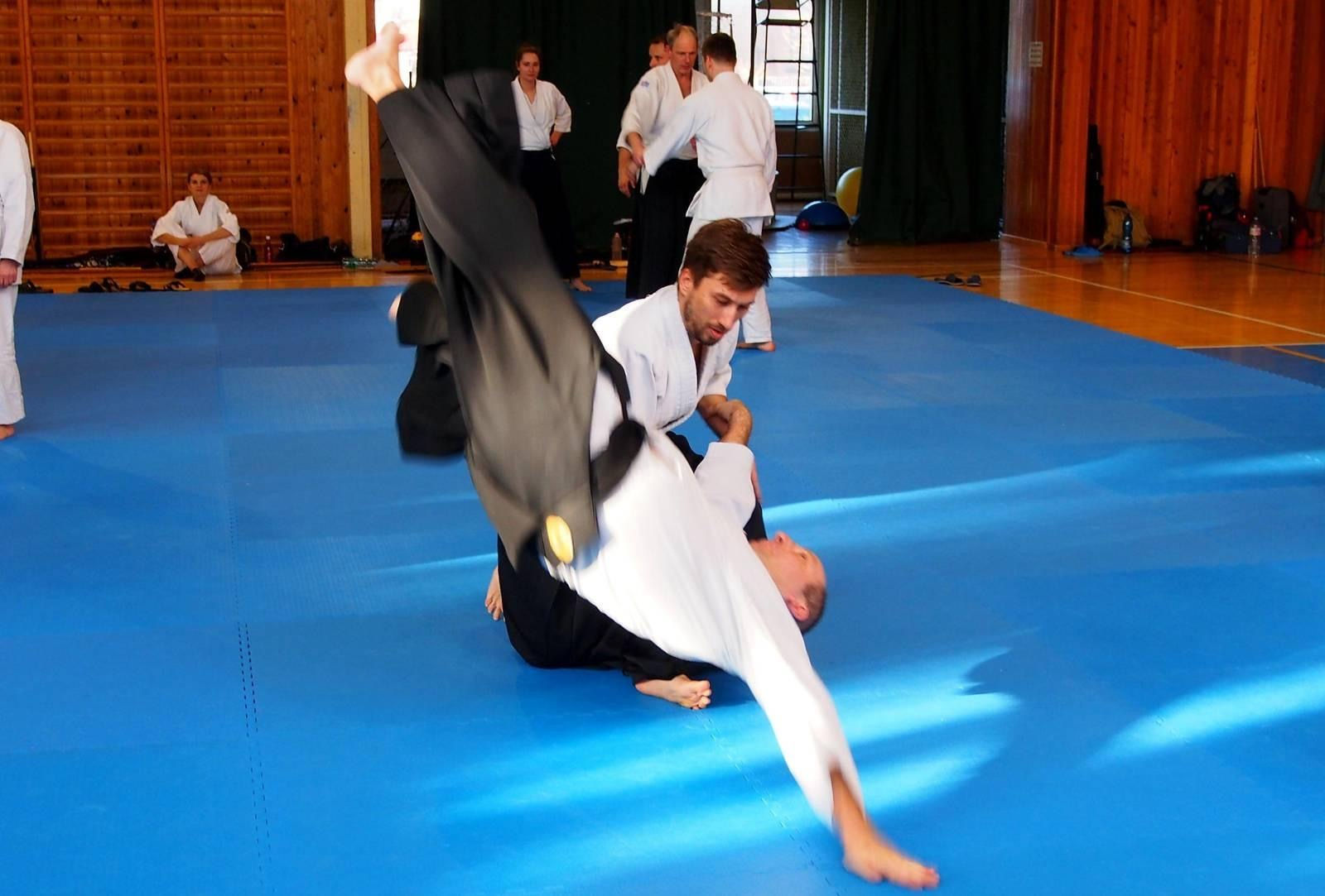 Main image of Aikido Gym Praha