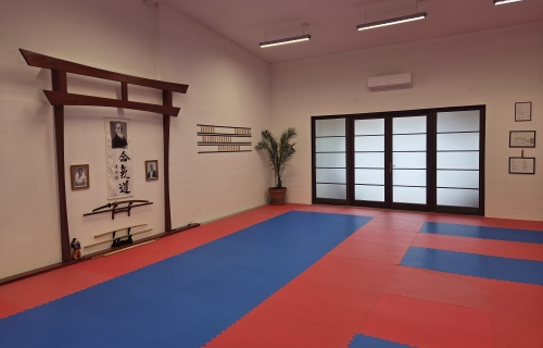 Main image of Aikido Gyöngyös