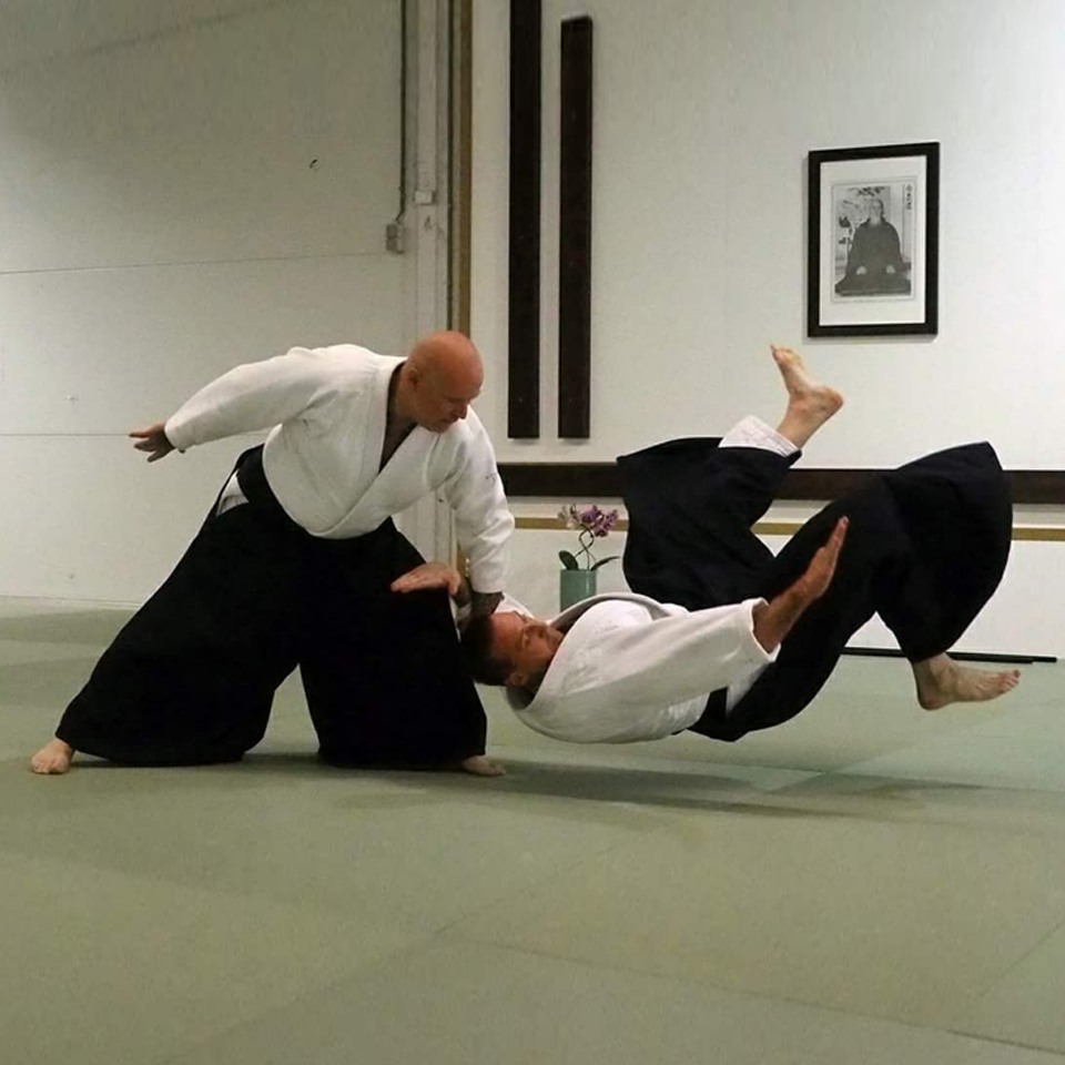 Main image of aikido ijsselmonde