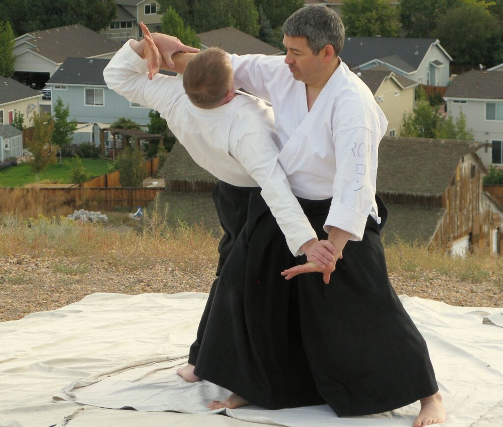 Main image of Aikido in Sparks