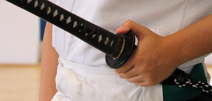 Main image of Aikido in Walldorf