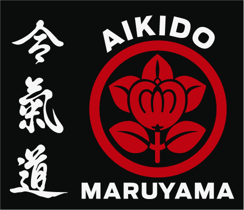 Main image of Aikido João Monlevade